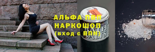 ПСИЛОЦИБИНОВЫЕ ГРИБЫ Алексин