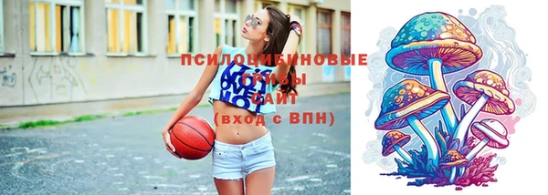 ПСИЛОЦИБИНОВЫЕ ГРИБЫ Алексин