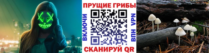 Псилоцибиновые грибы GOLDEN TEACHER  Ступино 