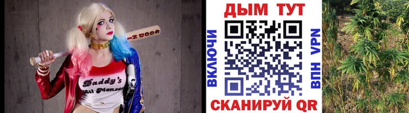 Каннабис гибрид  Ступино 